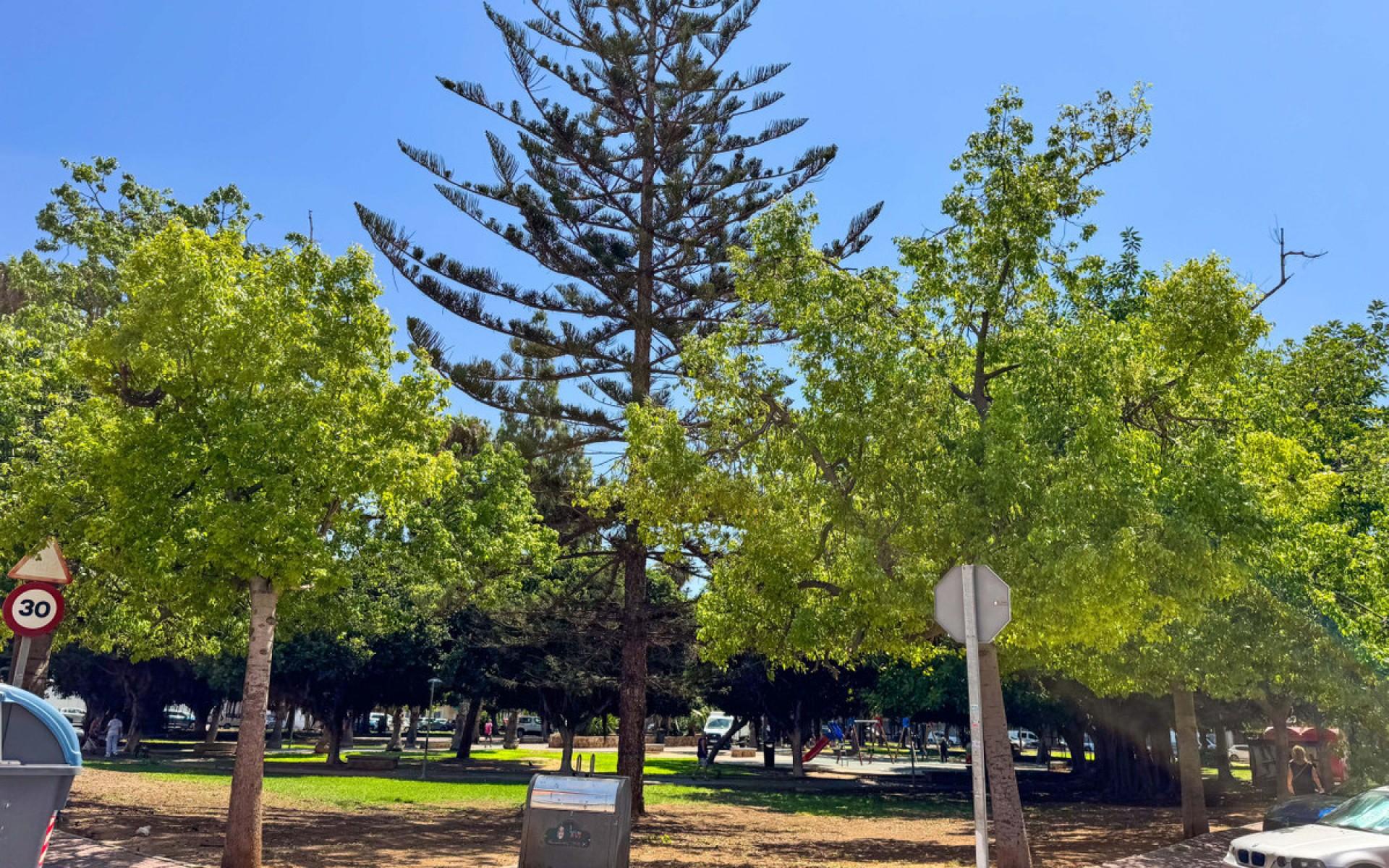 Torrevieja · Alicante REF #CSPX-60834 · Apartment