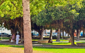 Torrevieja · Alicante REF #CSPX-60834 · Apartment 3961859525