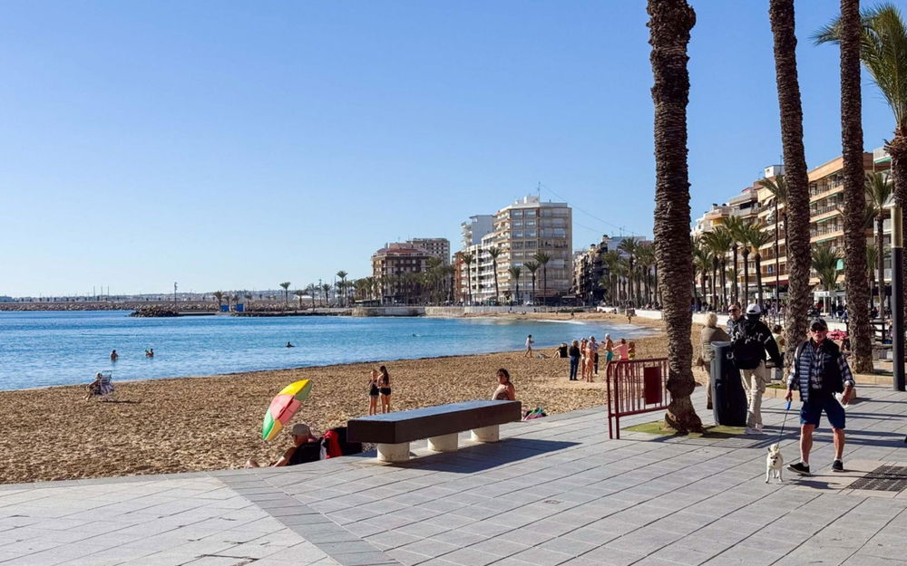 Torrevieja · Alicante REF #CSPX-61032 · Apartment 1889021267