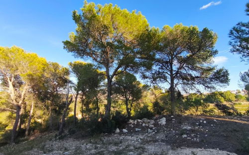 Teulada · Alicante REF #CSPX-41194 · Land 524119428