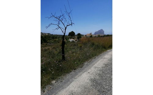 Calpe · Alicante REF #CSPX-50068 · Land 891817806