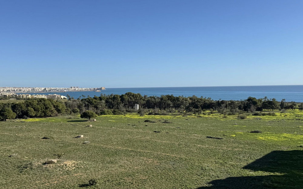 Punta Prima · Alicante REF #CSPX-23036 · Apartment 1190579205