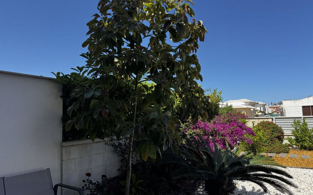 Torrevieja · Alicante REF #CSPX-26261 · Apartment 3234921738