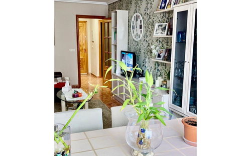 Benidorm · Alicante REF #CSPX-87624 · Apartment 379409746