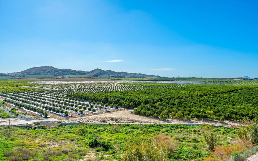 Algorfa · Alicante REF #CSPX-69454 · Apartment 1854438782