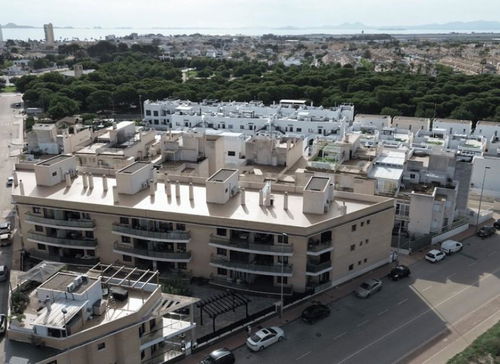 Torrevieja · Alicante REF #CSPX-83551 · Apartment 3516622883