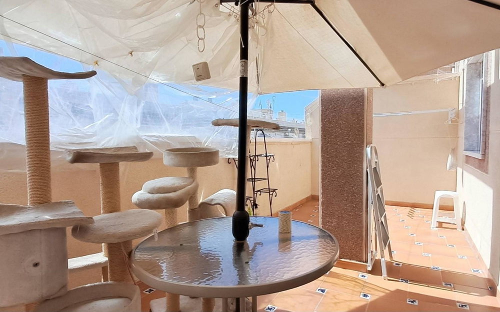 Torrevieja · Alicante REF #CSPX-57933 · Apartment 2437514090