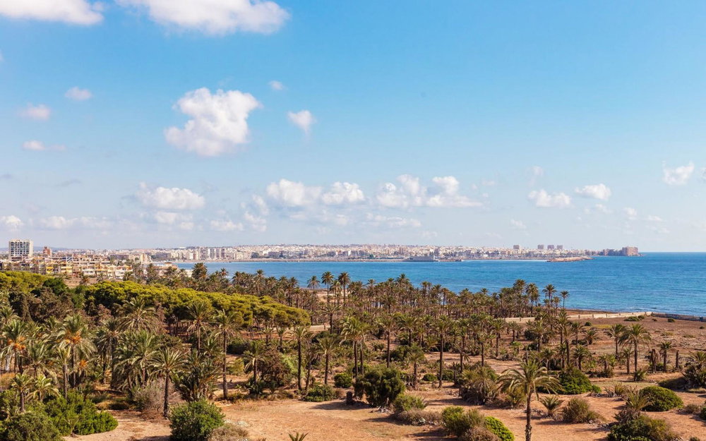 Punta Prima · Alicante REF #CSPX-90694 · Apartment 713396840