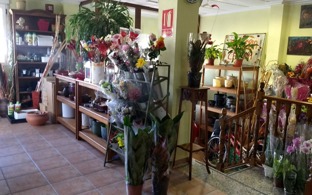 Pinoso · Alicante REF #CSPX-95114 · Townhouse 2955502238