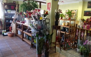 Pinoso · Alicante REF #CSPX-95114 · Townhouse 2955502238