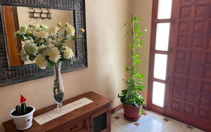 San Miguel De Salinas · Alicante REF #CSPX-94373 · Villa 2372793070