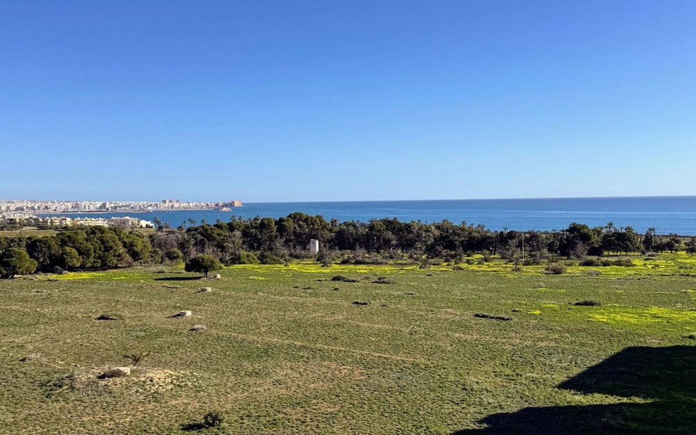 Punta Prima · Alicante REF #CSPX-65334 · Apartment 2670140191