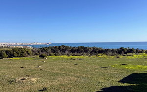 Punta Prima · Alicante REF #CSPX-65334 · Apartment 2670140191