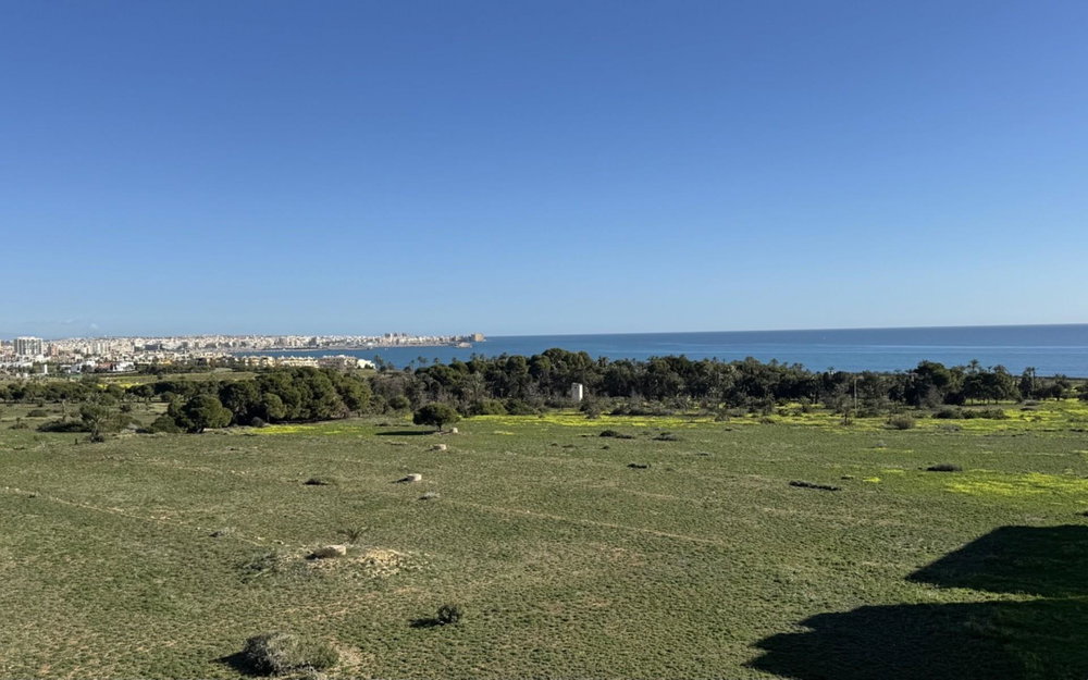 Punta Prima · Alicante REF #CSPD-62466 · Apartment 2788161091