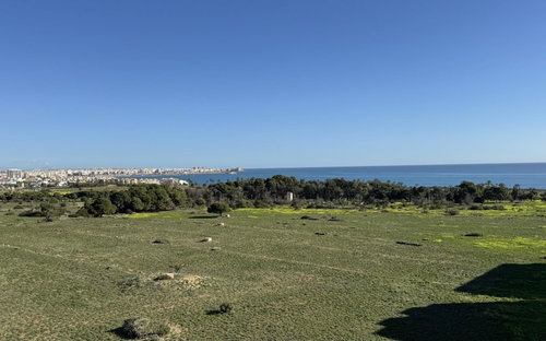 Punta Prima · Alicante REF #CSPD-62466 · Apartment 2788161091