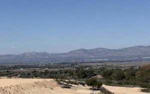 San Fulgencio · Alicante REF #CSPA-49197 · Land 2034959174