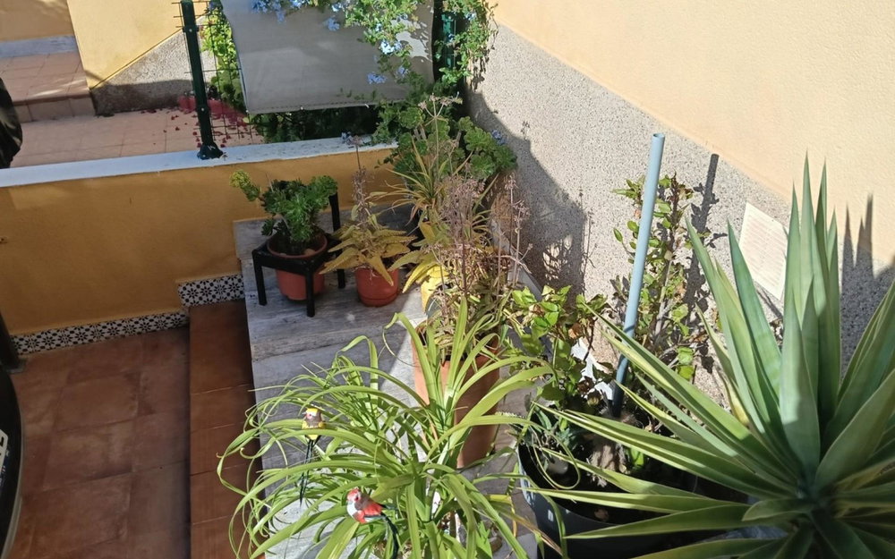 Los Montesinos · Alicante REF #CSPX-41878 · Apartment 302131506