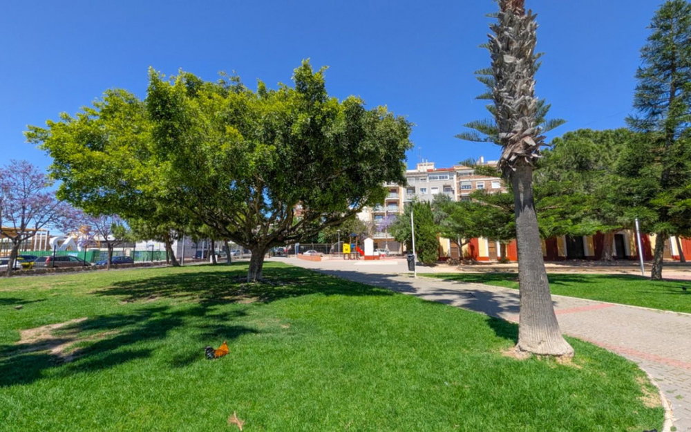 Torrevieja · Alicante REF #CSPX-82045 · Apartment 2194137497