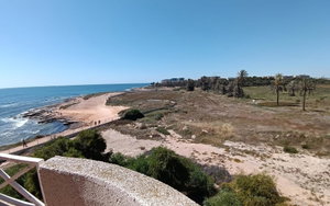 Torrevieja · Alicante REF #CSPJ-84217 · Apartment 1337060730