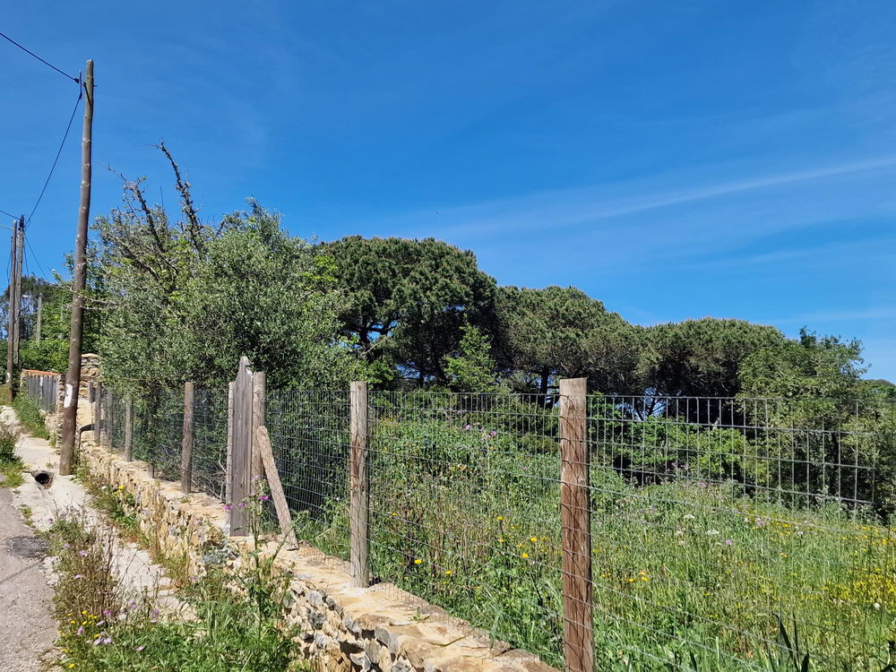 For sale plot – Ericeira 14 Km 1774502985