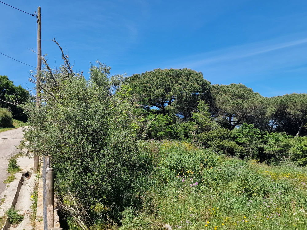 For sale plot – Ericeira 14 Km 1774502985