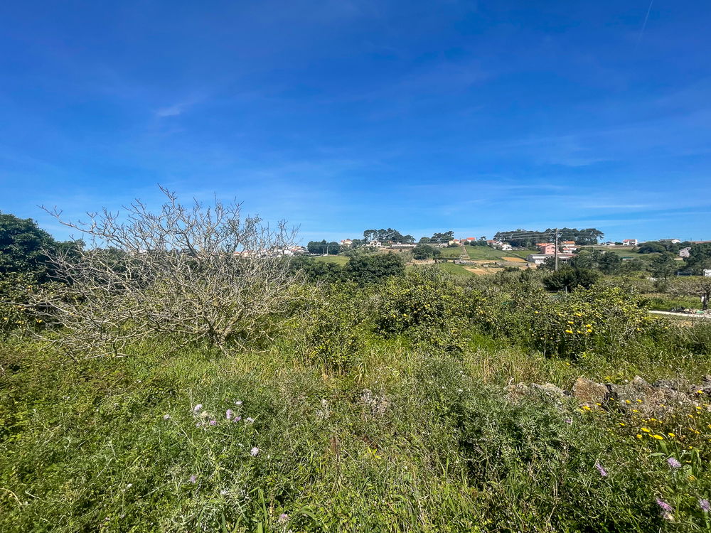 Land in Ericeira 4 km 1232496100