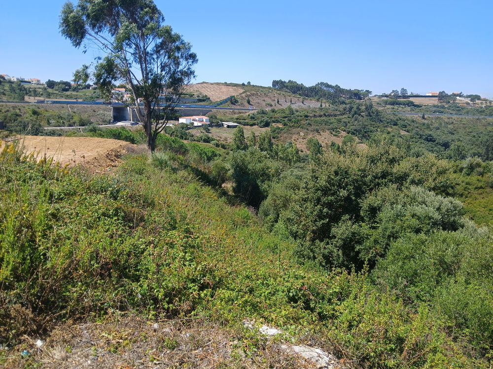 For sale plot Ericeira 7 Km 2952857308