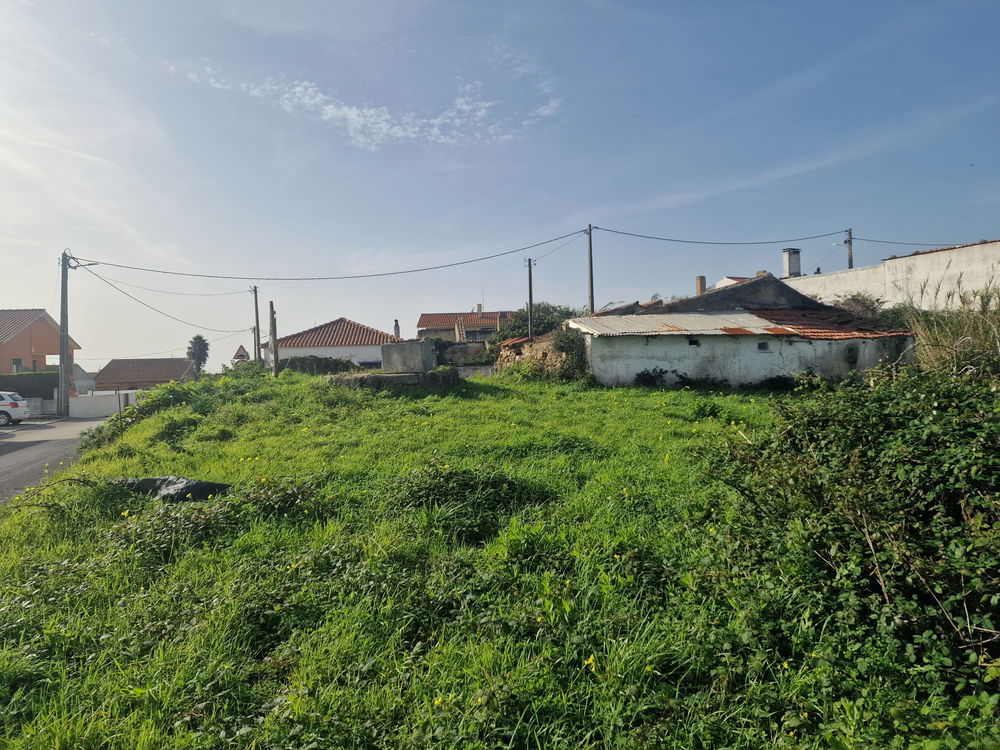 Land in Ericeira 5 km 3636381760