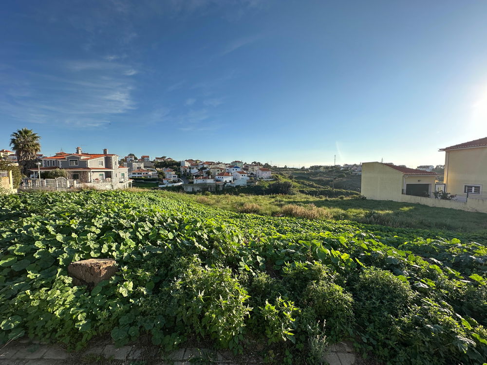 For sale Land – Ericeira 1.5 km 1708777652