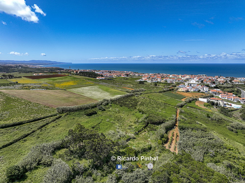 Land in Ericeira 5 km 12771925