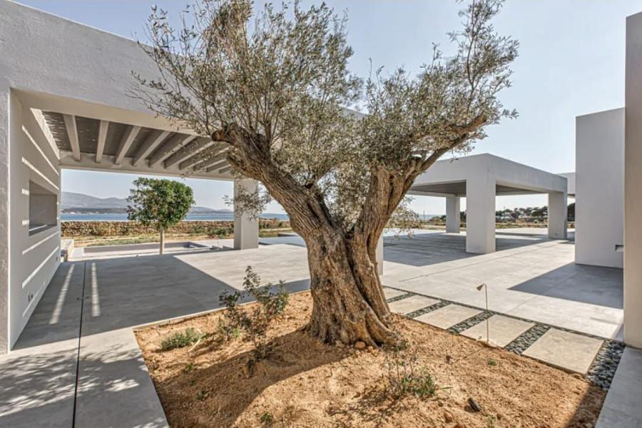 Eco-Luxury Villa in Antiparos – For Sale 1071840102