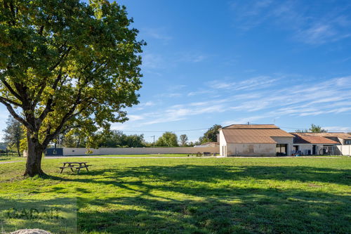 Exceptional Equestrian Estate in Berson – 2.2 Hectares with Renovated House and Complete Equestrian Facilities, Near Bordeaux 1634518769