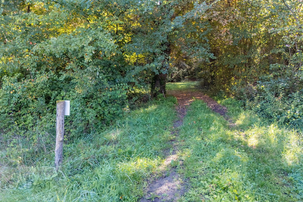 Exceptional Equestrian Estate in Berson – 2.2 Hectares with Renovated House and Complete Equestrian Facilities, Near Bordeaux 1634518769