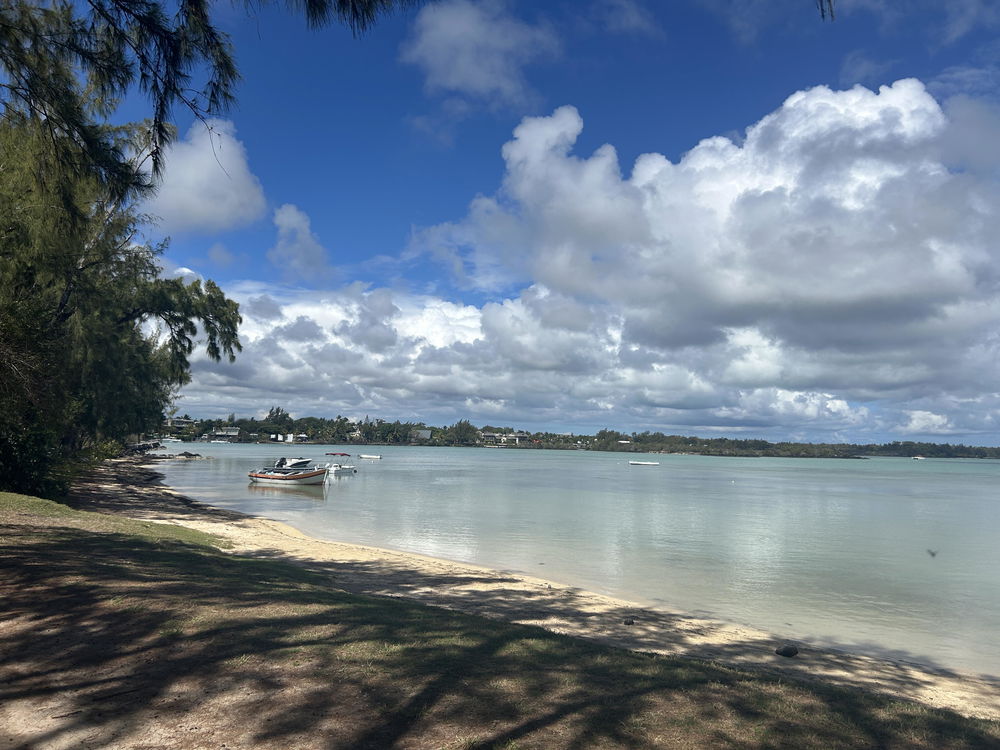 Luxury Garden Villas Viva Calodyne – Mauritius Real Estate 1931956491