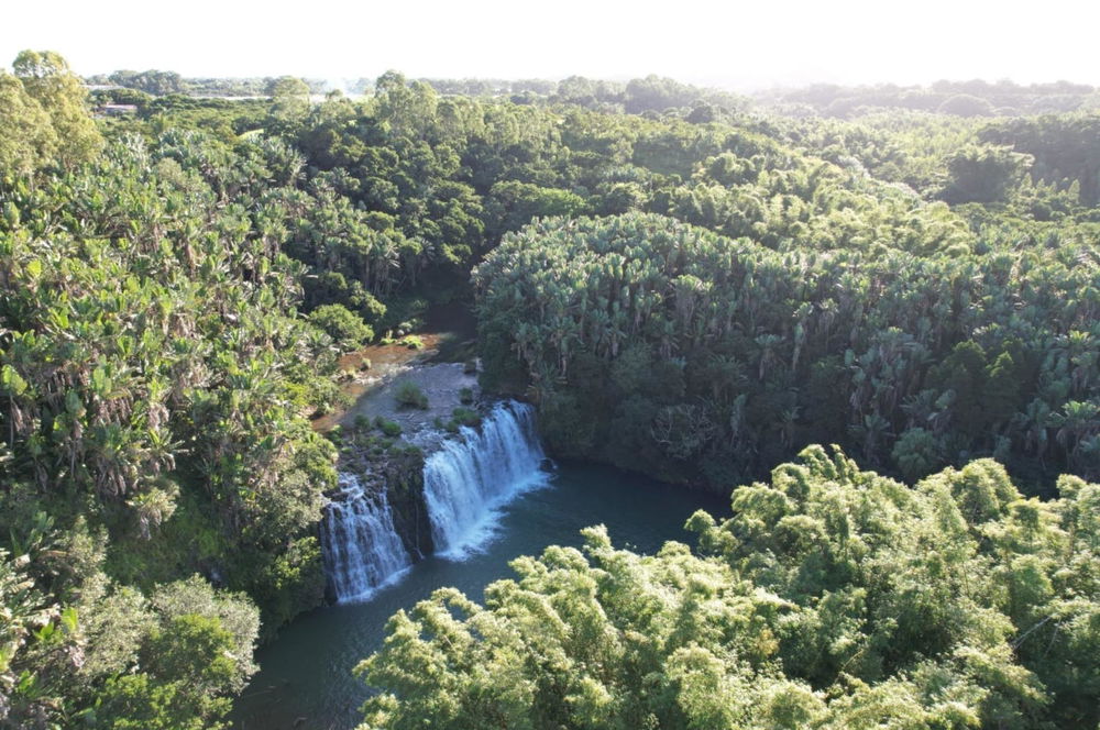 Exceptional Estate with Chalet & 1.5 Hectare Land | Panoramic View | Grand Port 1982261603