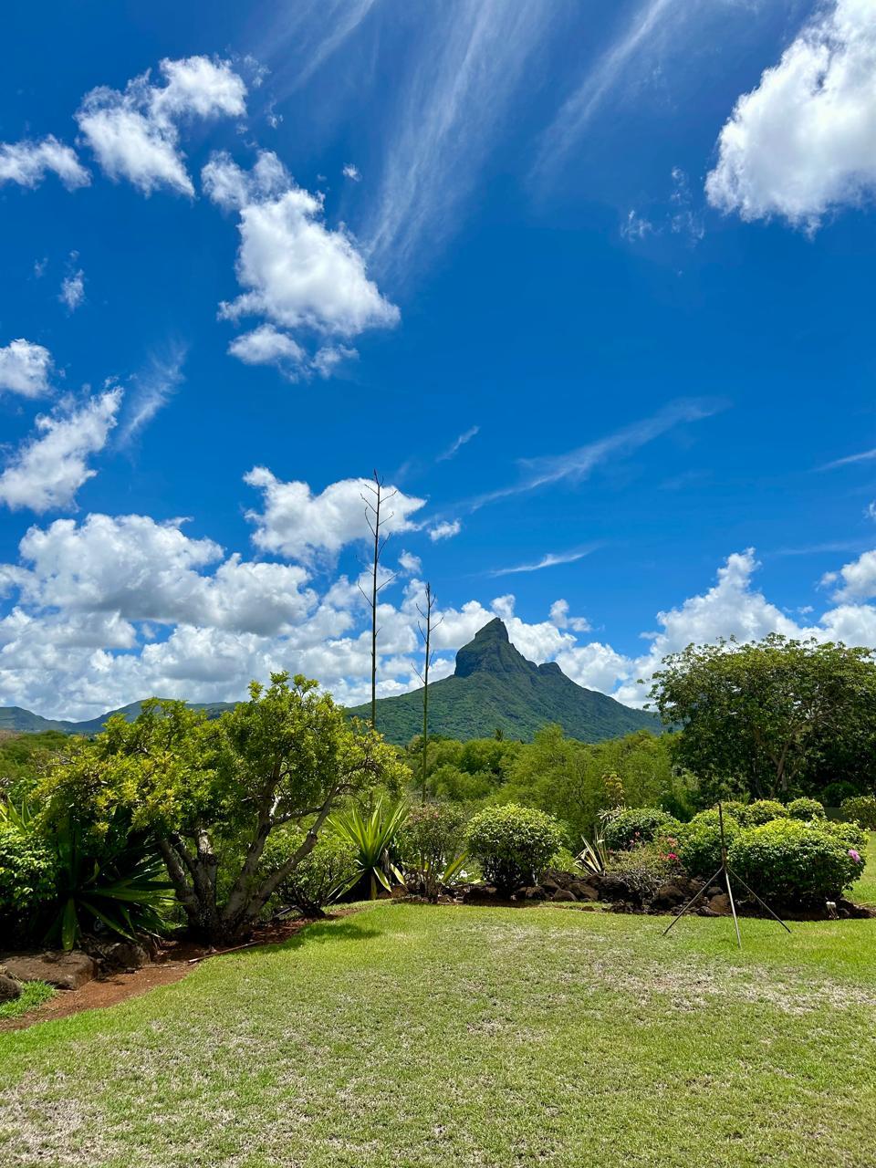 Luxury Villa with Mountain and Golf Views for Sale | Tamarina Golf Resort, Mauritius 241030819