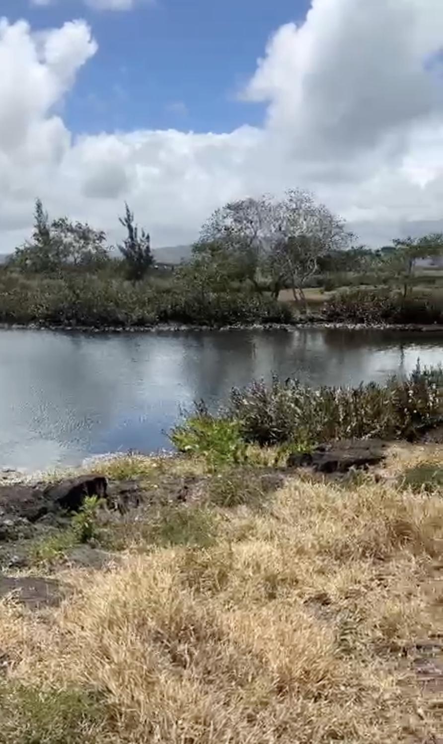 Discover Luxury Living at Pointe d’Esny Le Village – Mauritius 242363562