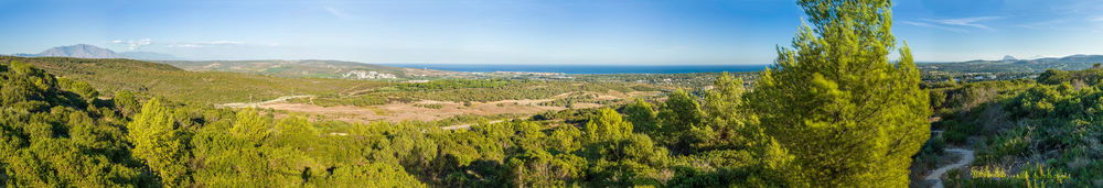 Prestigious building plot for sale in Sotogrande | Sea and golf views | Rare investment 2539971845