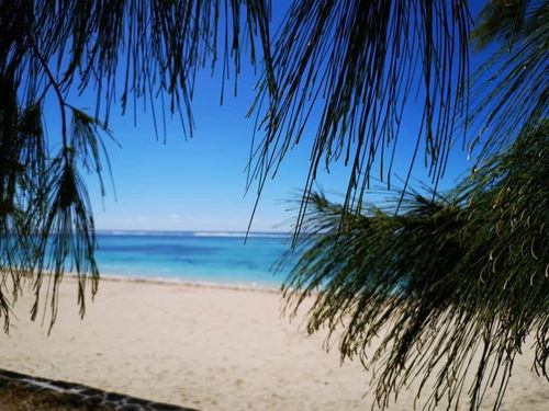 Beachfront Duplex for Sale in Palmar – Prime Investment Opportunity 3482820571