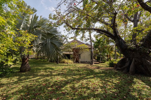 Architect-Designed Villa with Pool and Tropical Gardens – St-Gilles, Réunion 3930384854