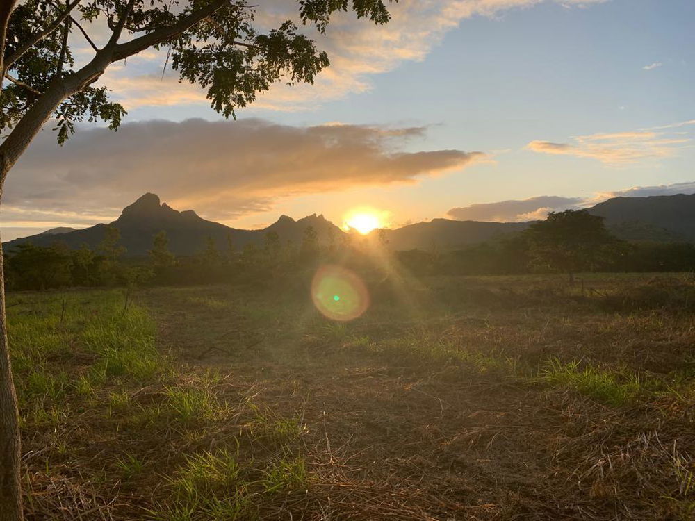 Exclusive 5-bedroom villa in Mauritius with premium services 749217185