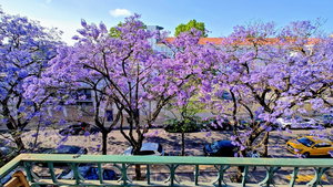 Spacious 3-Bedroom Apartment with Garage in Saldanha, Lisbon 873656293