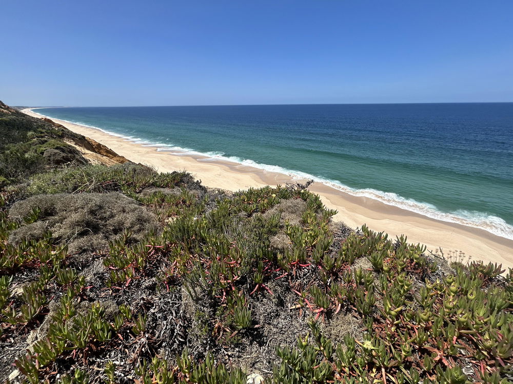 Pines Exclusive Villas, Pinheirinho, Comporta 3192361749