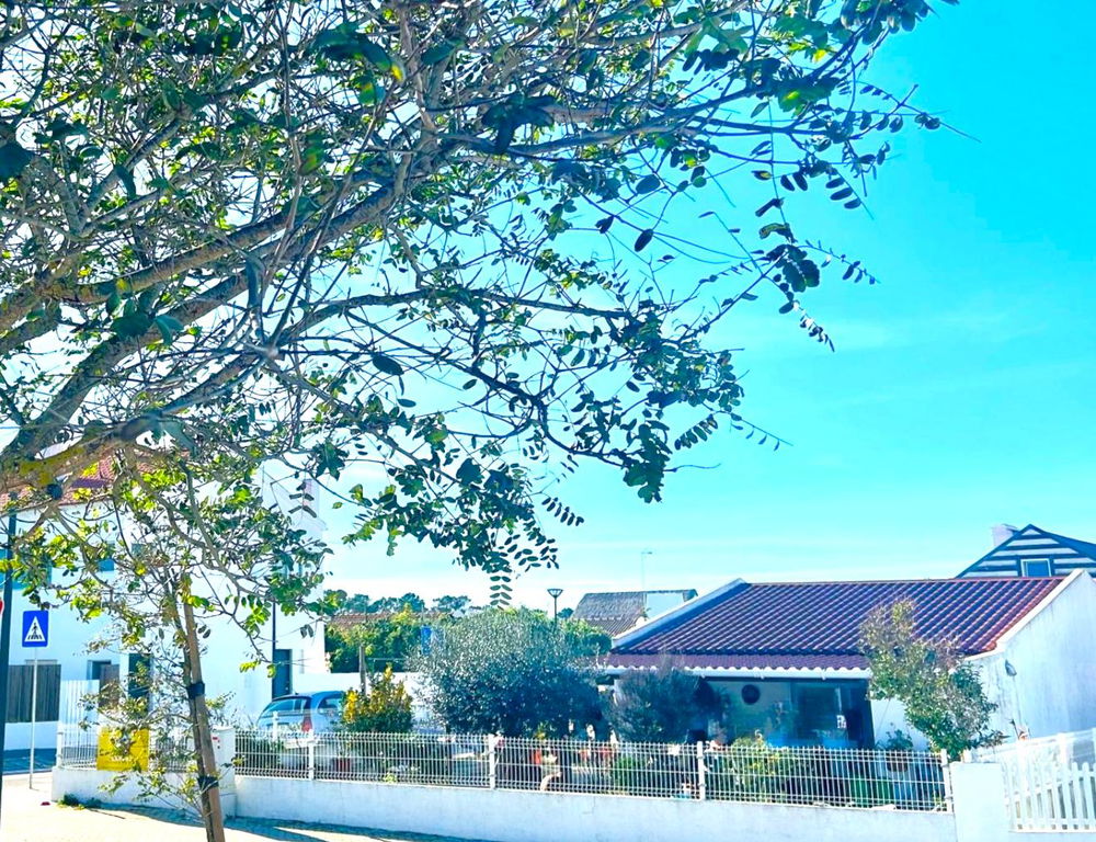 Villa Near Carvalhal Beach – Prime Investment in Comporta 759442431