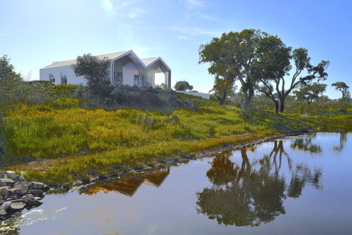 Luxury Villa in the Heart of Sobreiras Country Alentejo 1559402412
