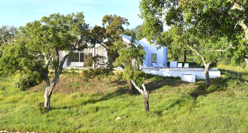 Luxury Villa in the Heart of Sobreiras Country Alentejo 4143669031