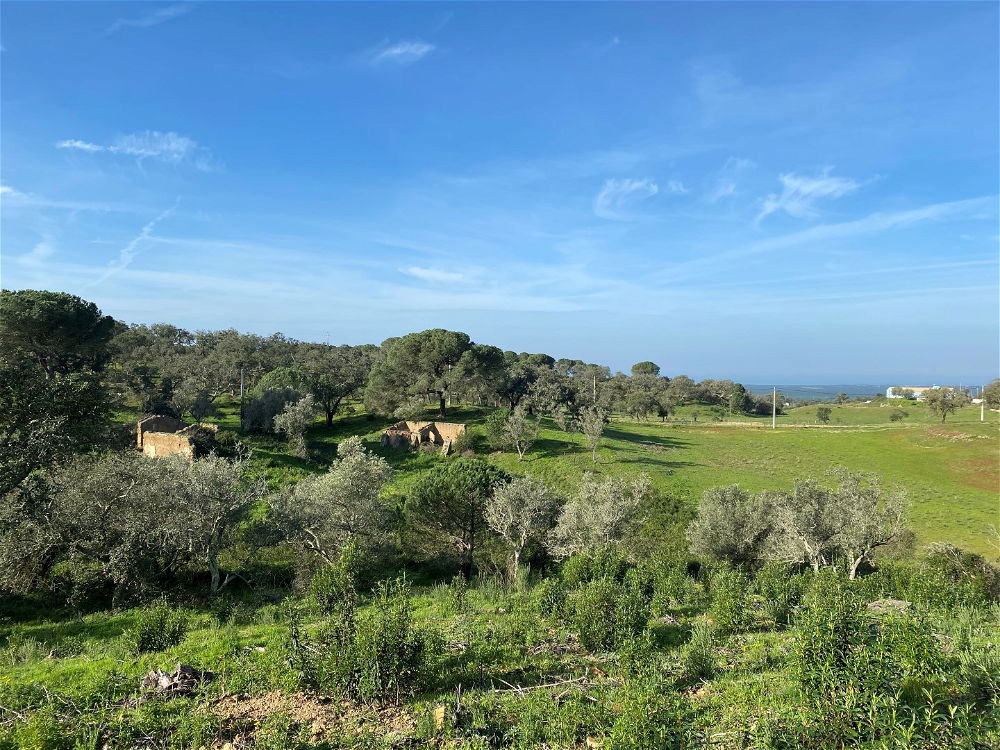 Extraordinary Land Plot With Approved Project, Melides, Comporta 819660858