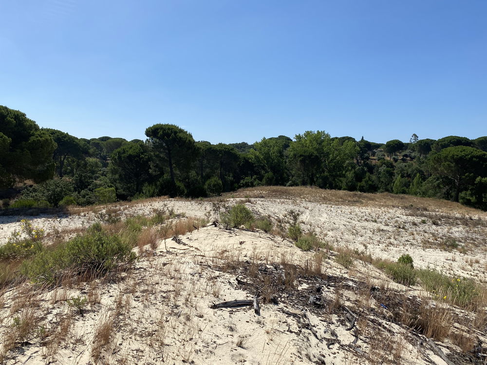 Great, Country Estate, Grândola, Alentejo 1154440867