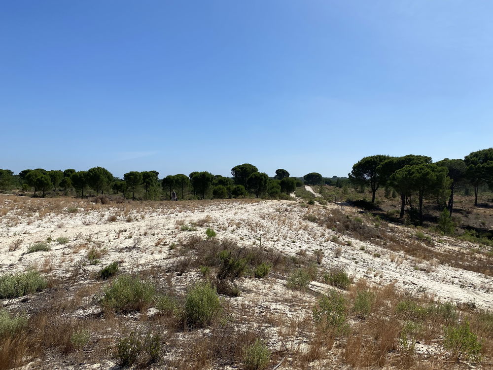 Great, Country Estate, Grândola, Alentejo 1154440867