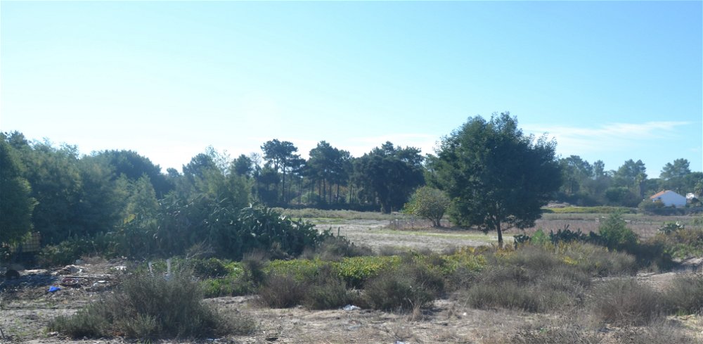 Plot of land with a project, overlooking nature, Possanco, Comporta 640757816